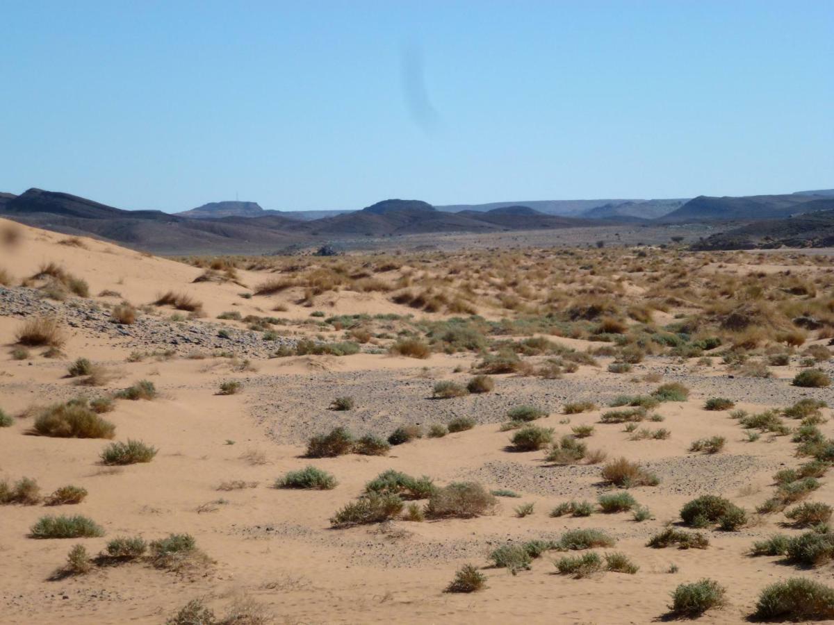 La Vallee Des Dunes - Auberge, Bivouacs Et Excursions Merzuga Kültér fotó