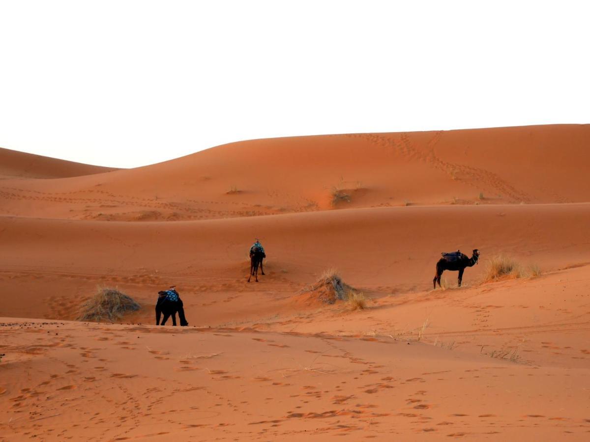 La Vallee Des Dunes - Auberge, Bivouacs Et Excursions Merzuga Kültér fotó