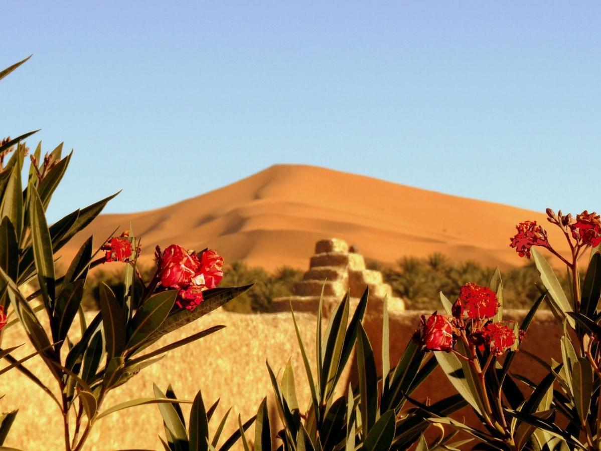 La Vallee Des Dunes - Auberge, Bivouacs Et Excursions Merzuga Kültér fotó